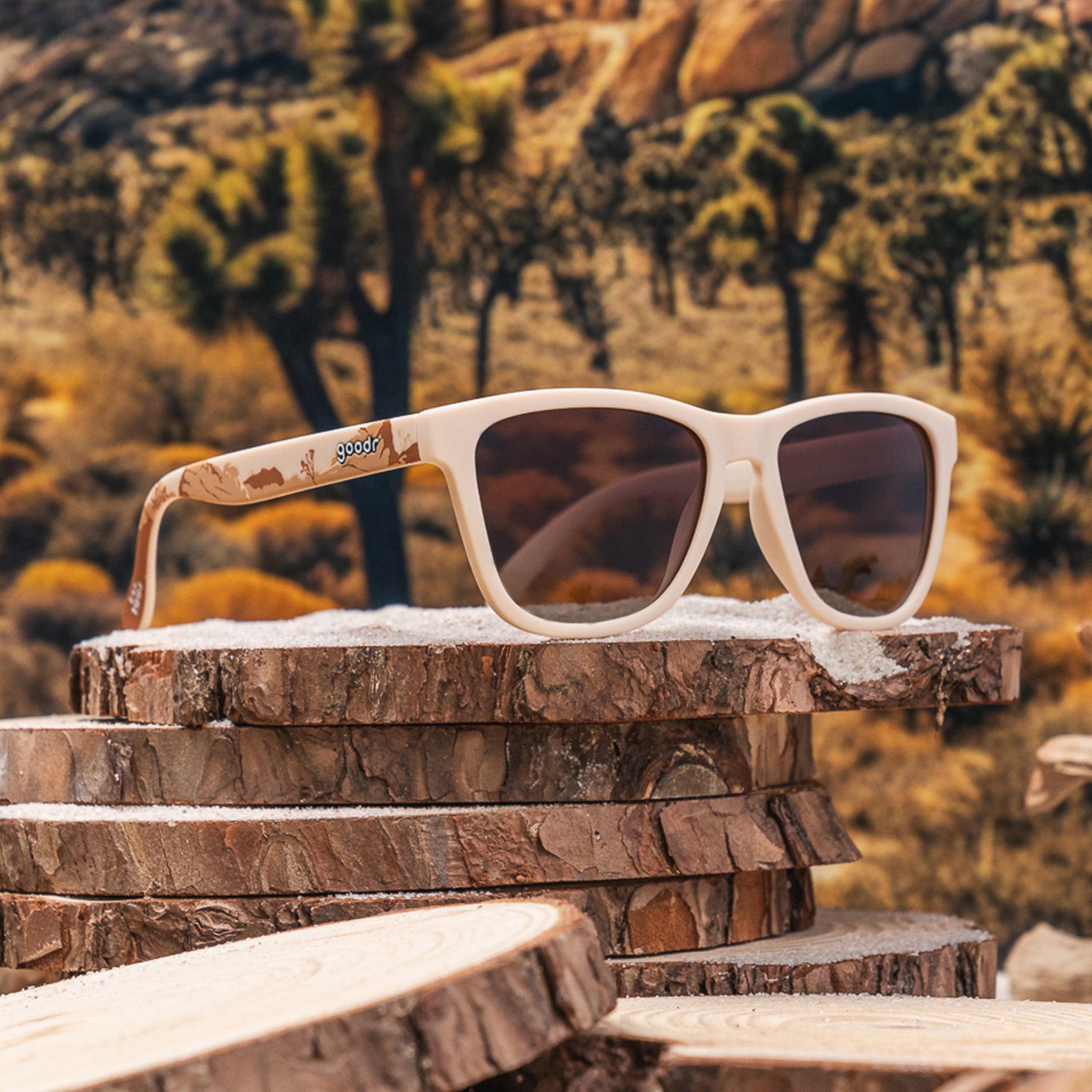 Alternative view of Joshua Tree National Park 2024
